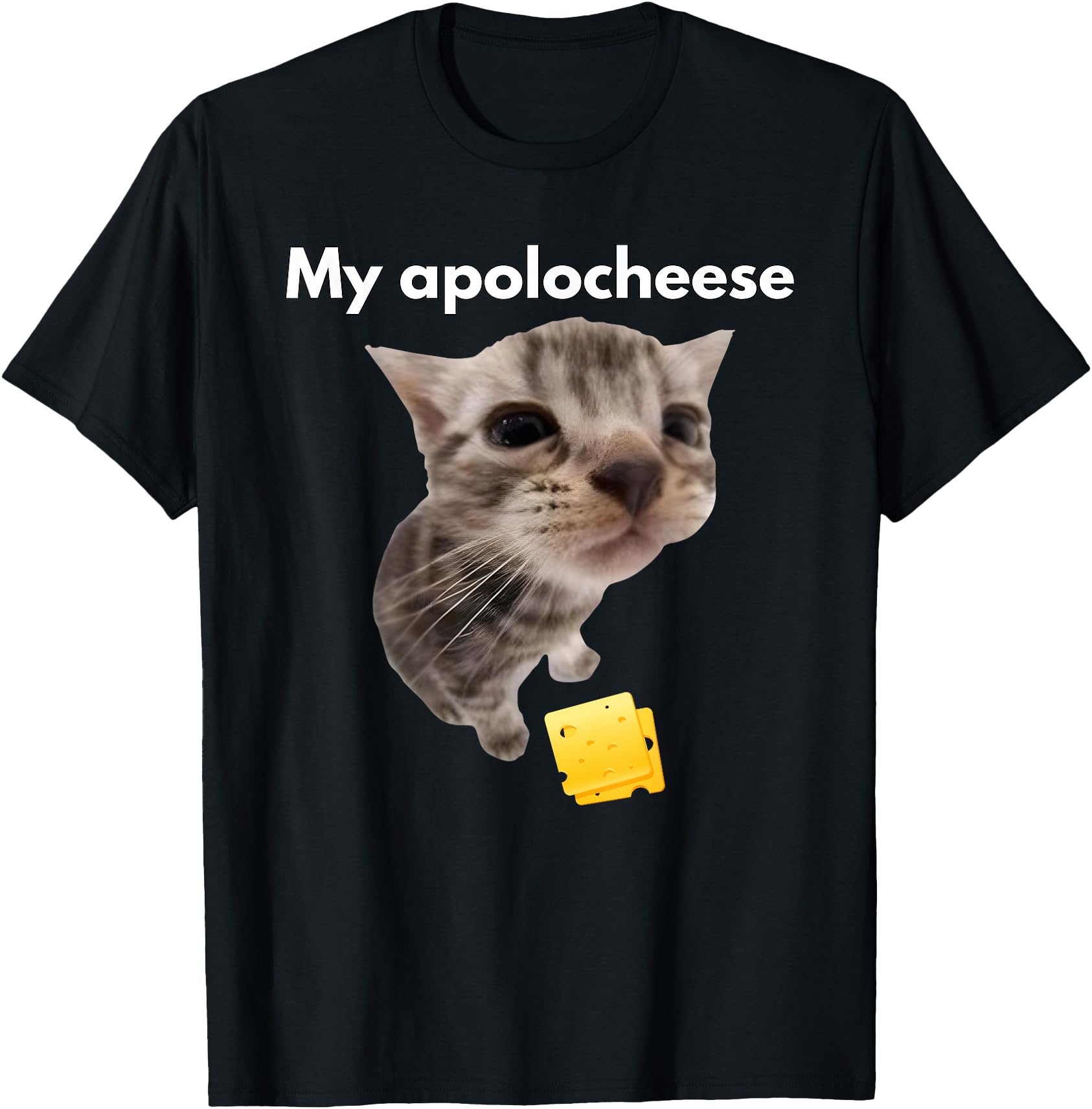Funny Cat Meme My apolocheese