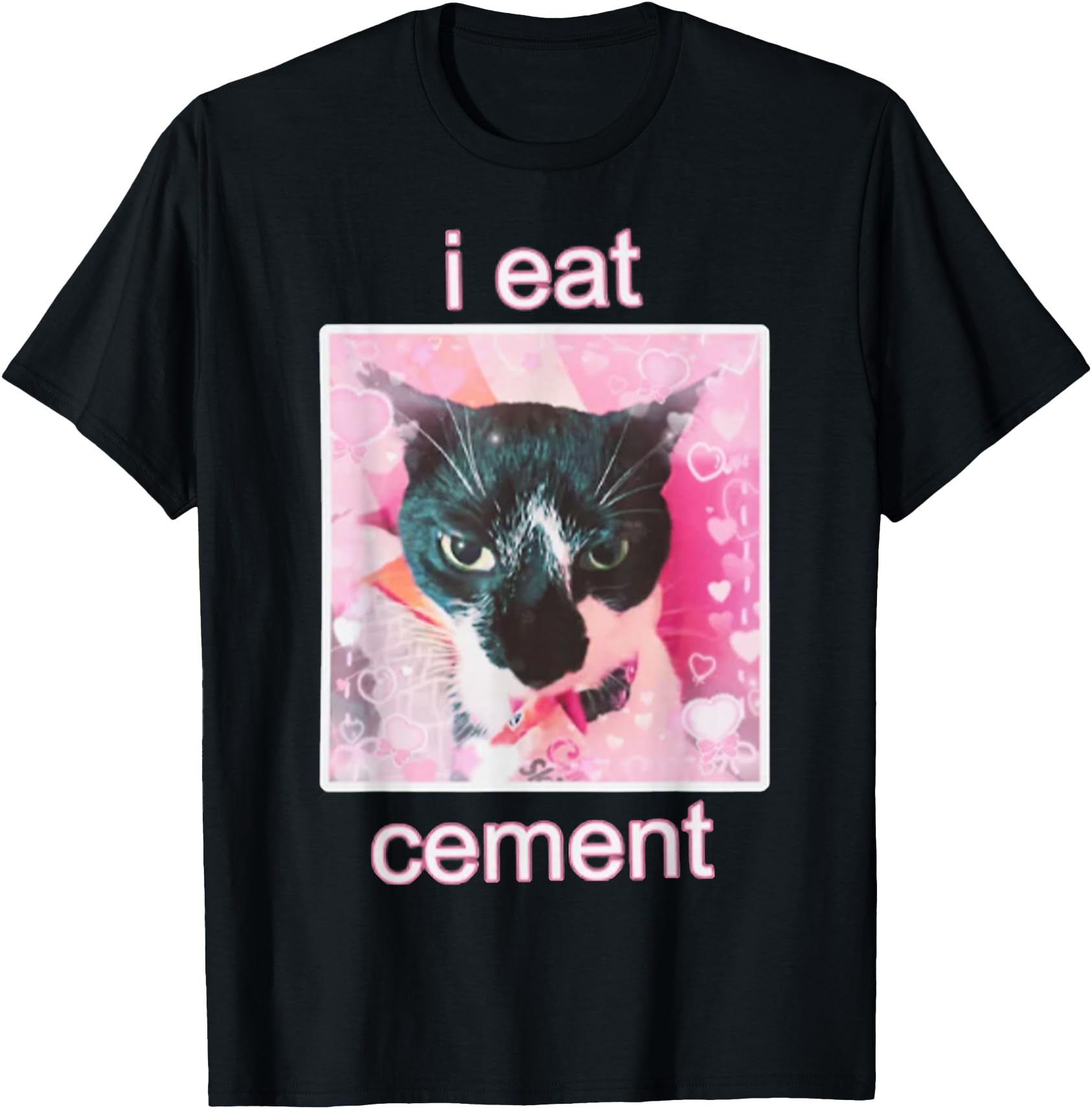 I Eat Cement Cat