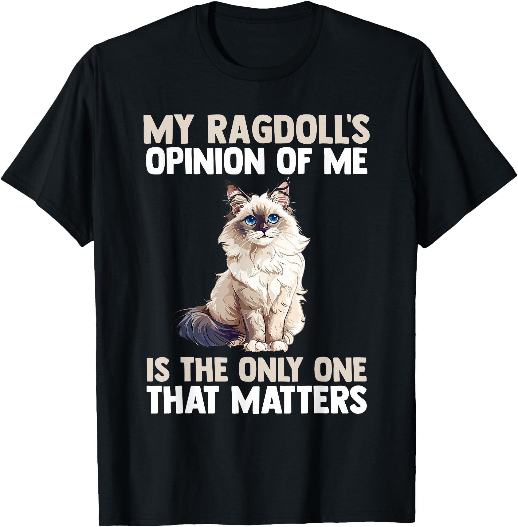 Ragdoll Cat Gift Cat Ragdoll T-Shirt Black Unisex-Adults Small Classic Fit V-Neck Short Sleeve Cat Cartoon Cat Themed