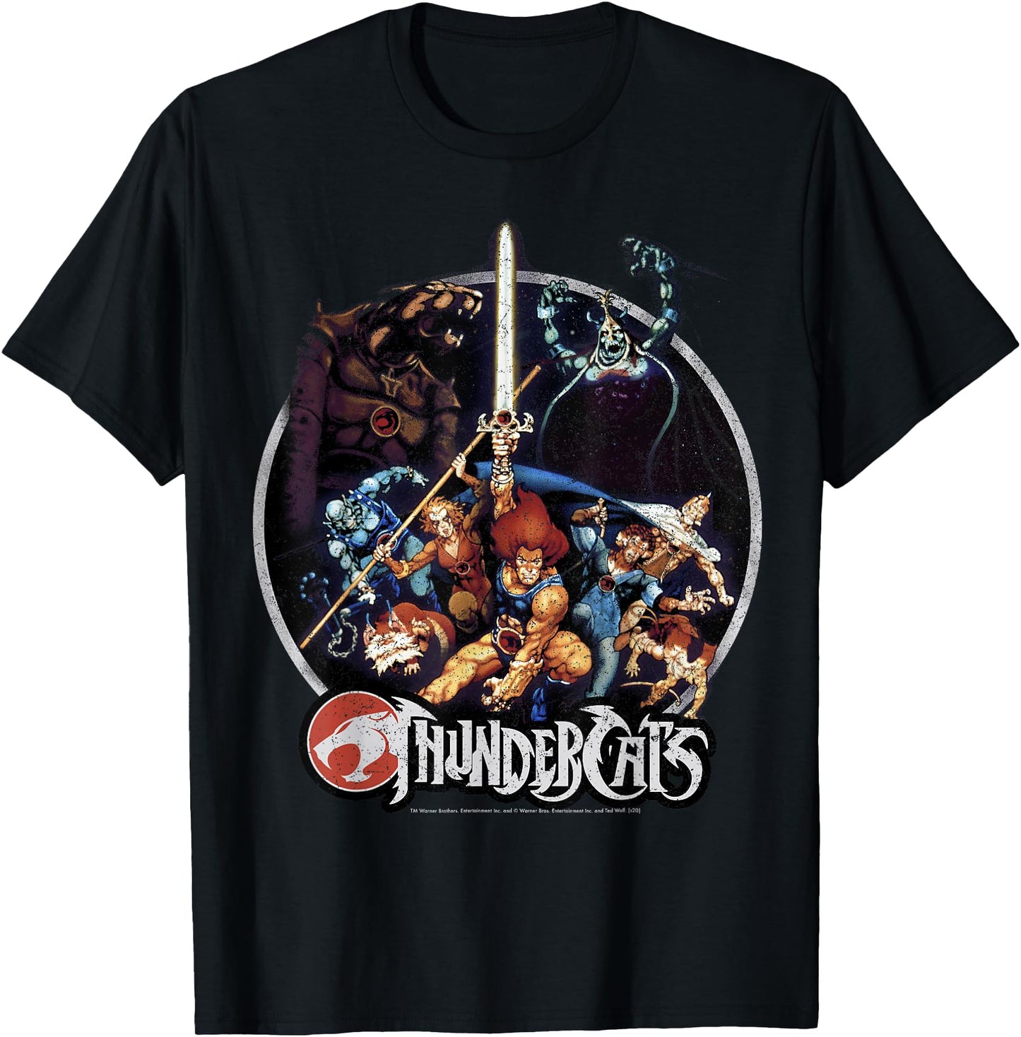 ThunderCats Group Shot Vintage Circle