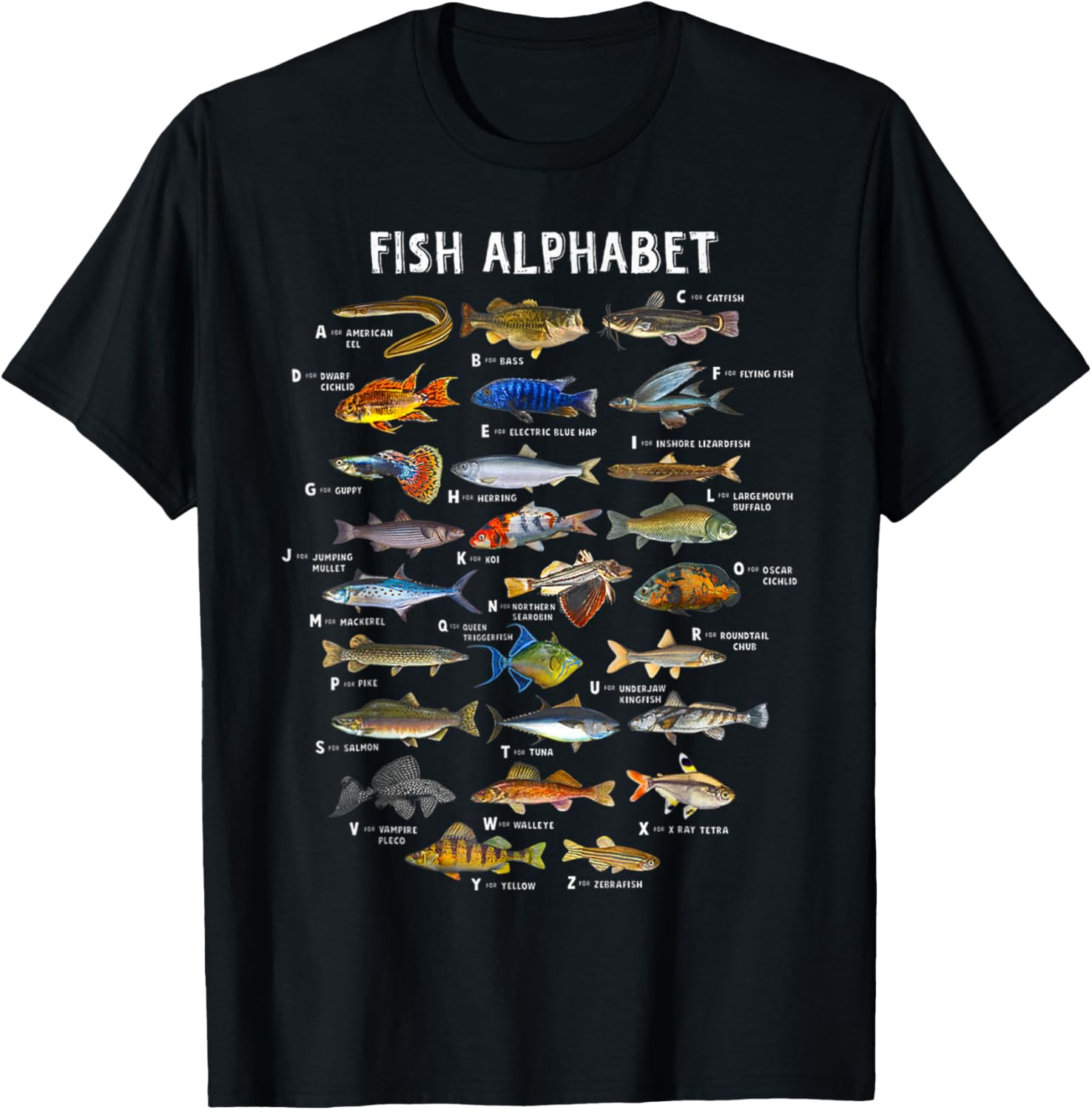 Fish Alphabet Educational Freshwater Species Fishing