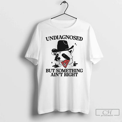 Cowboy Raccoon Undiagnosed But Something Aint Right T Shirts Hoodie