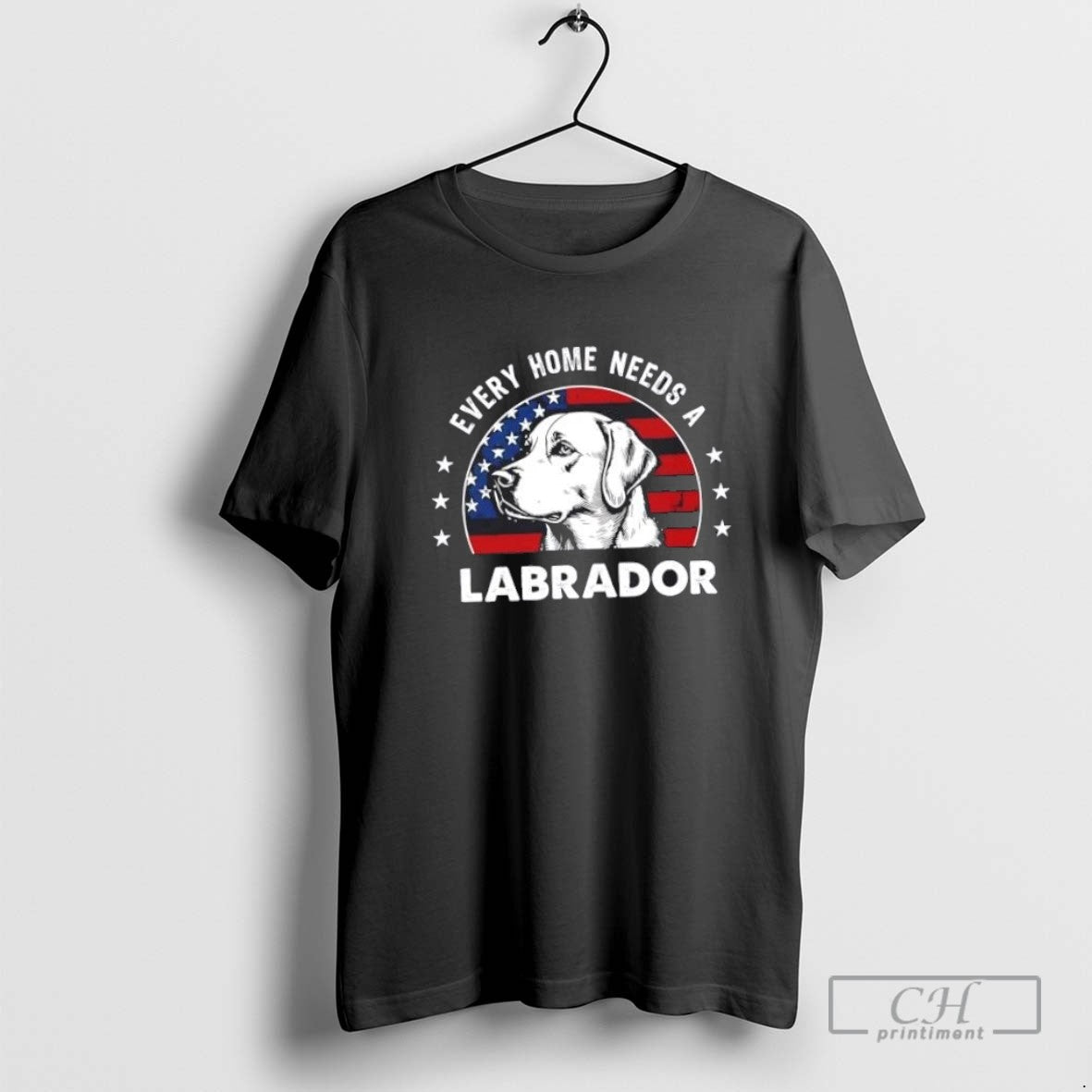 Every Home Needs Labrador Dog Us Flag Hoodie Stylish Look