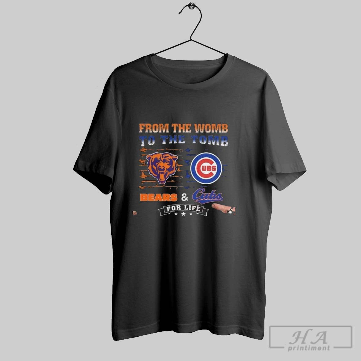 From Womb To Tomb Chicago Bears Chicago Cubs Life 2025 Tee Authentic