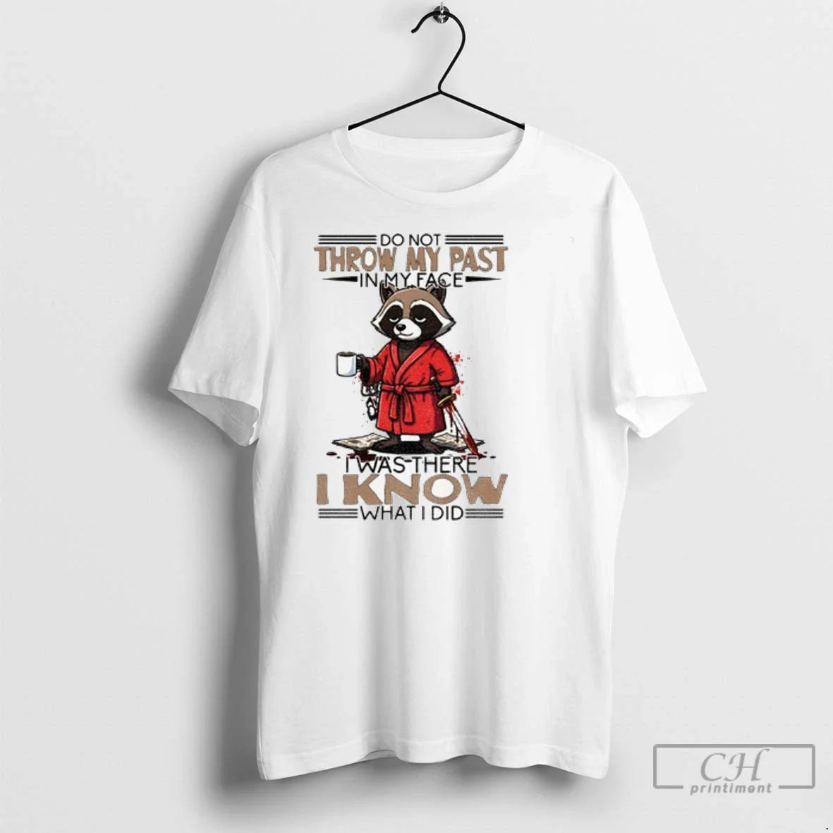 Raccoon Do Not Throw My Past My Face I Was There I Know Hoodie