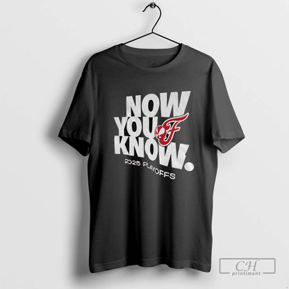 Indiana Fever Mlb Baseball Now You Know 2025 Playoffs TShirt Elegant