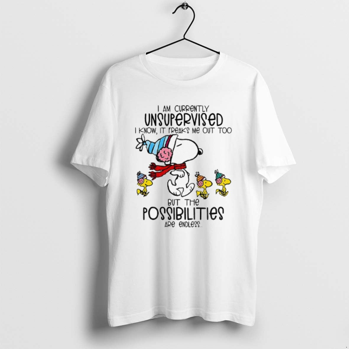 Snoopy And Woodstock I Am Currently Unsupervised I Know It Freaks Me