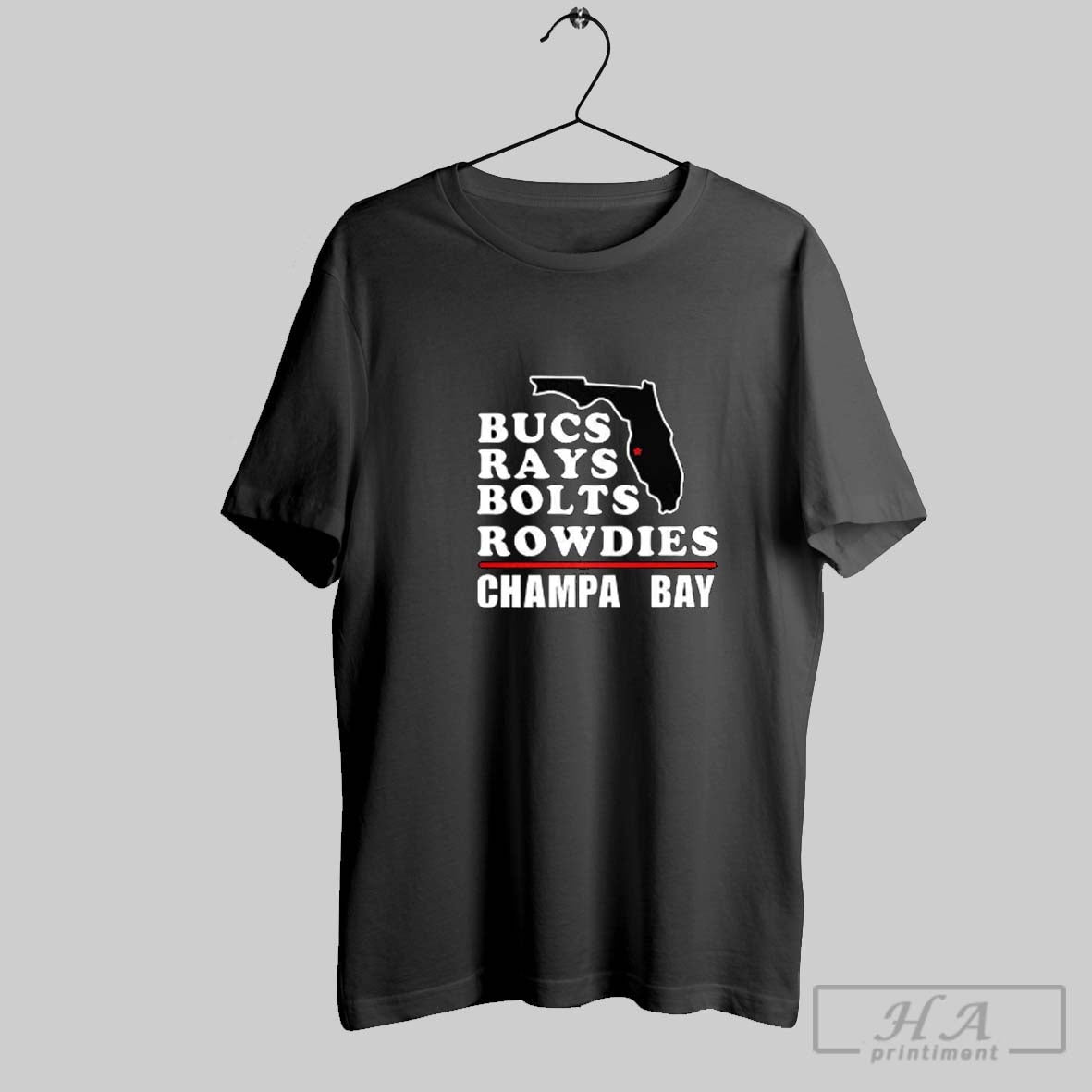 Tampa Bay Buccaneers Football Bucs Rays Bolts Rowdies Champa Long