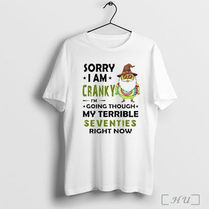 Officials Grinch Gnome Sorry I Am Cranky Im Going Through My Terrible