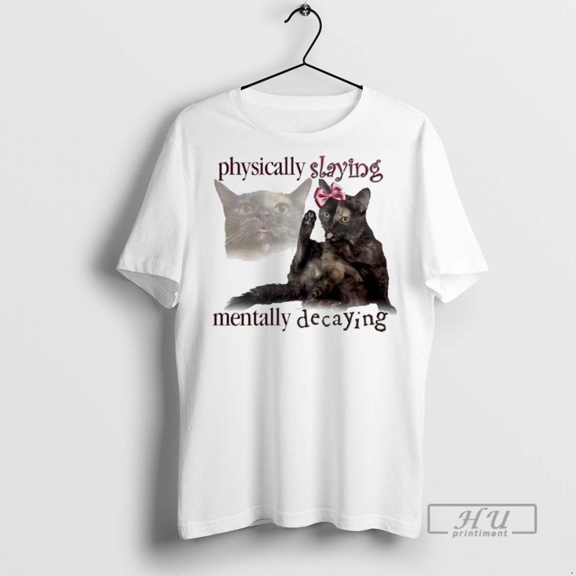 Officials Lilly Cat Physically Slaying Mentally Decaying T Shirts