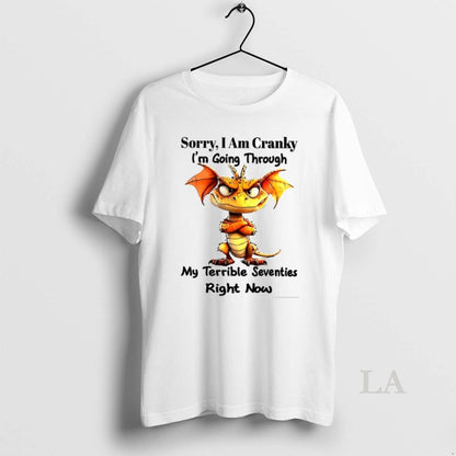 Original Dragon Sorry Im Cranky Im Going Through My Terrible 70S