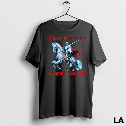 Original Maidens Want Me Dragons Fear Me Hoodie Designer Merch
