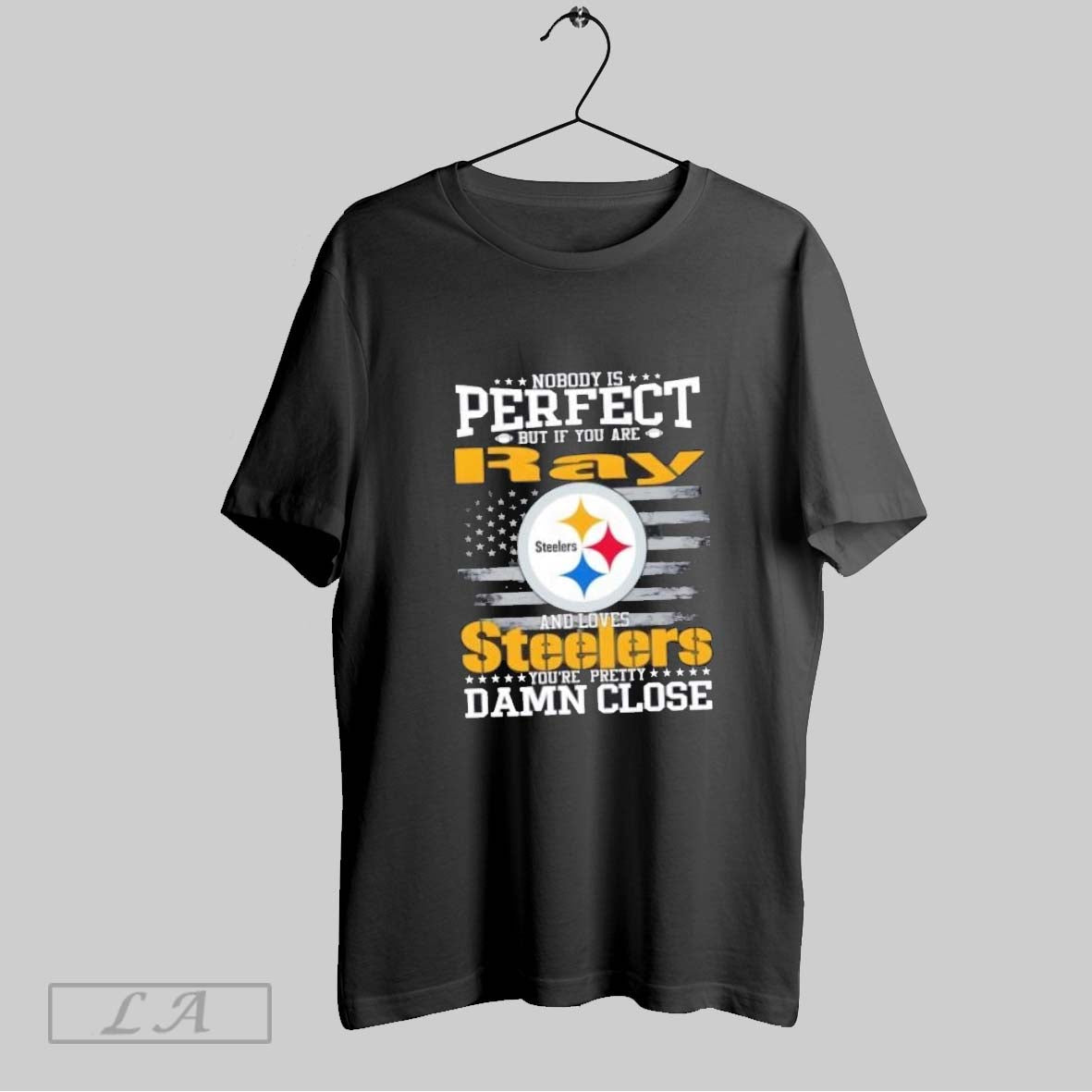 Original Nobody Is But If You Are Ray And Loves Pittsburgh Steelers