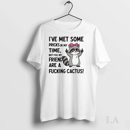Original Raccoon Ive Met Some Pricks My Time But You My Friend Are