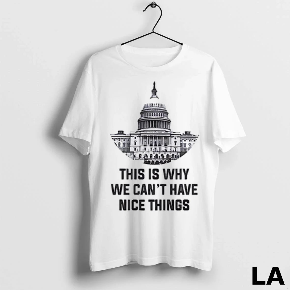 Original United States Capitol This Is Why We Cant Have Nice Things