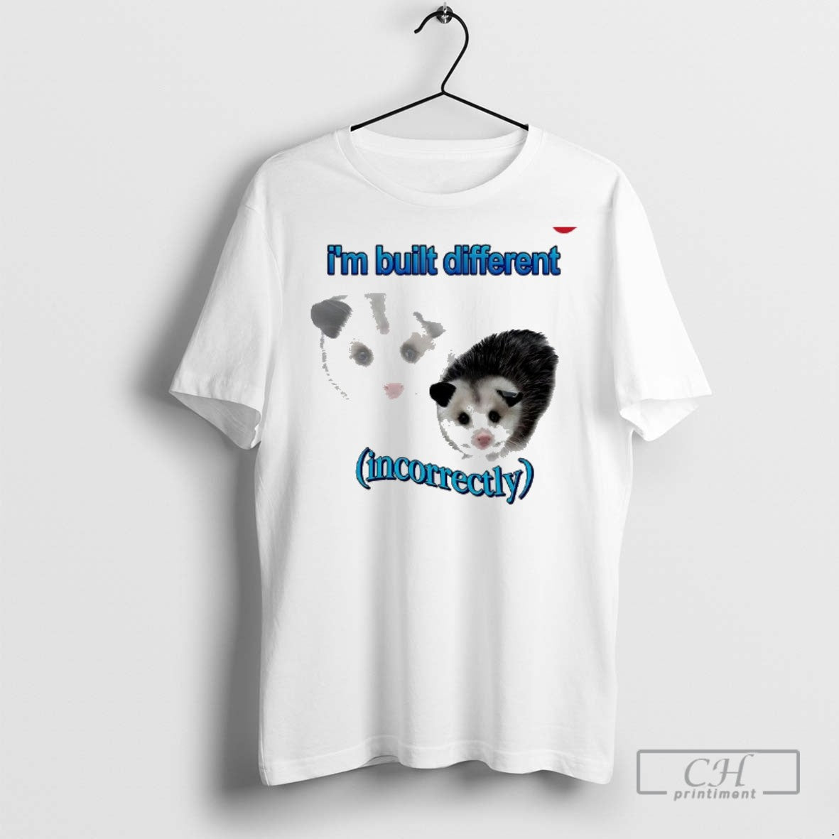 Possum Im Built Different Incorrectly T Shirts Tee Authentic Design