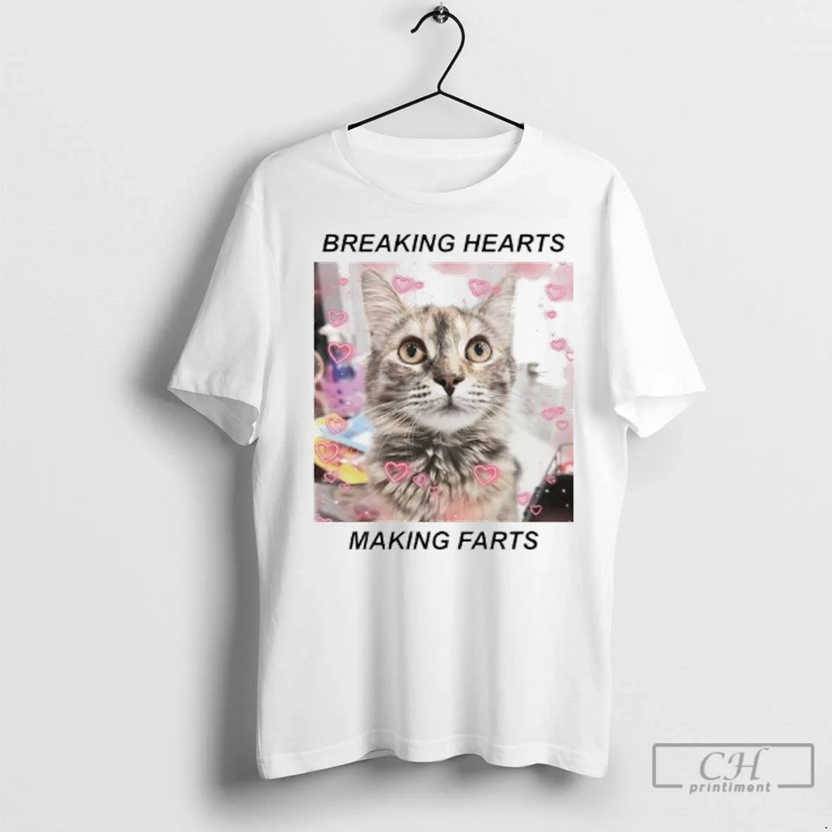 Premium Cat Breaking Hearts Making Farts Ladies Hoodie Modern