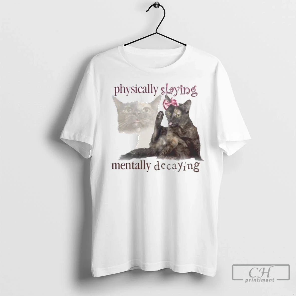 Premium Cat Physically Slaying Mentally Decaying Hoodie Premium