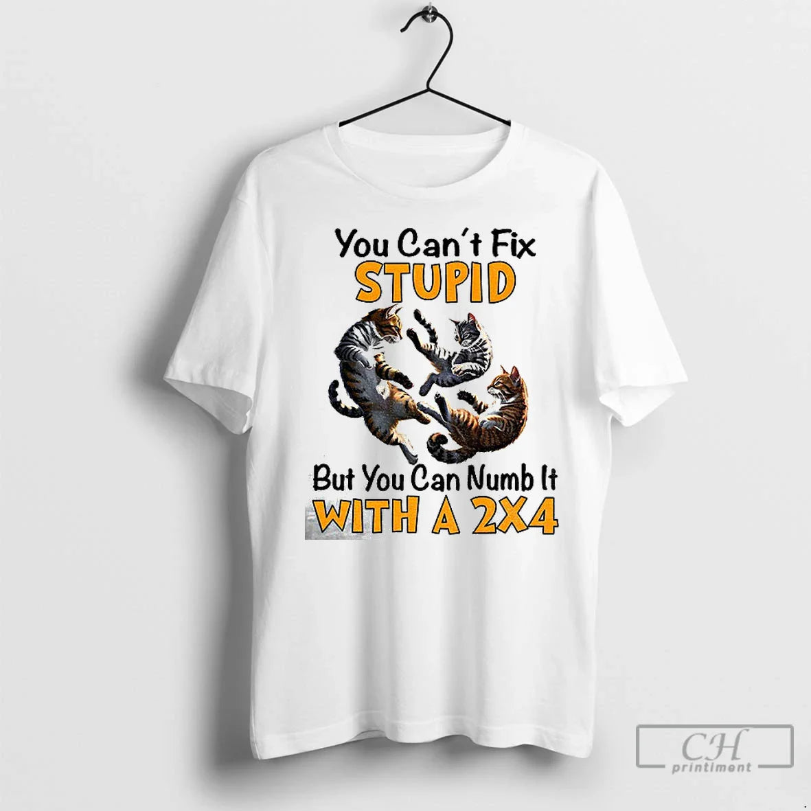 Premium Cat You Cant Fix Stupid But You Can Numb It 2X4 Long Sleeve