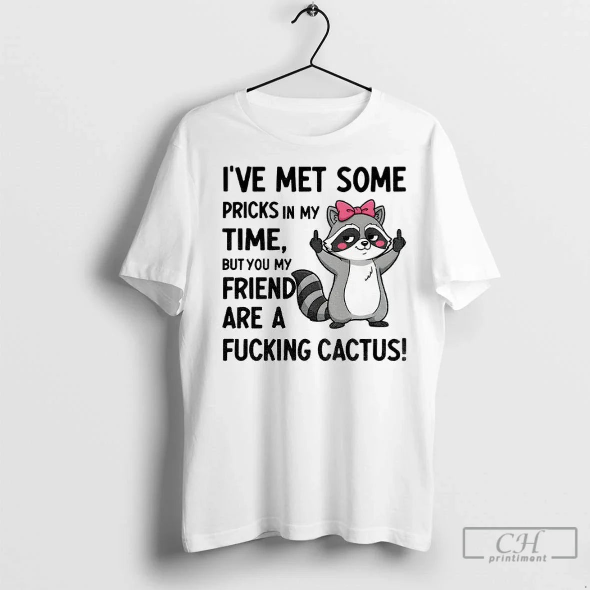 Premium Raccoon Ive Met Some Pricks My Time But You My Friend Are
