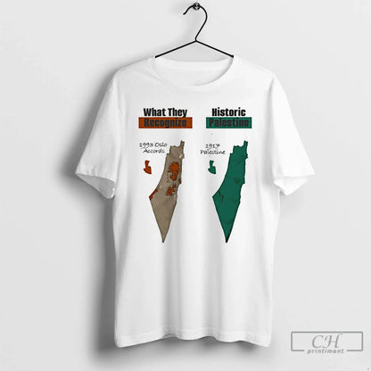 Premium What They Recognize 1993 Oslo Accords Historic Palestine 1917