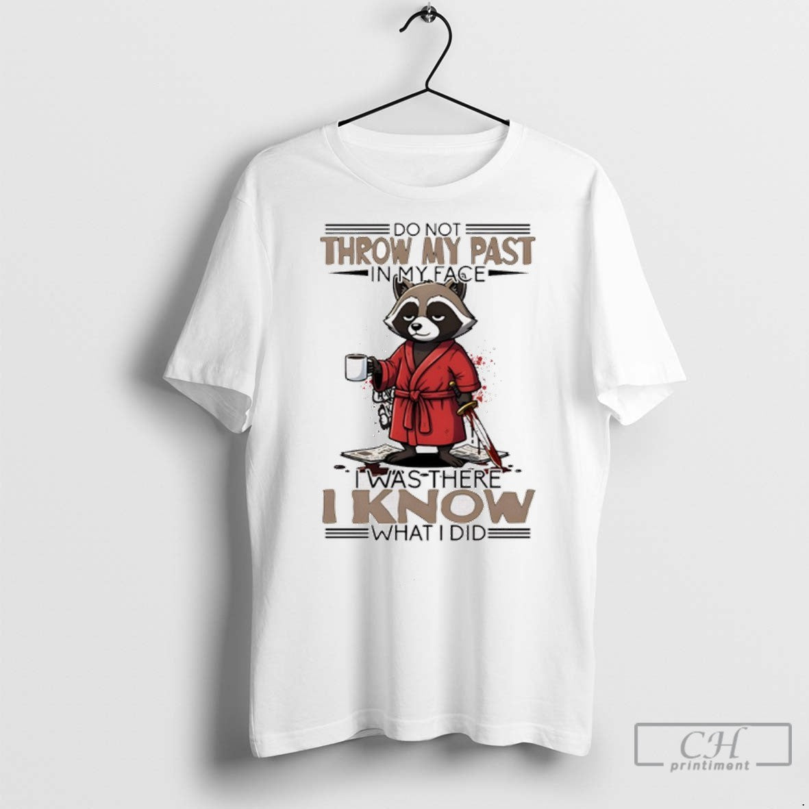 Raccoon Do Not Throw My Past My Face I Was There I Know What