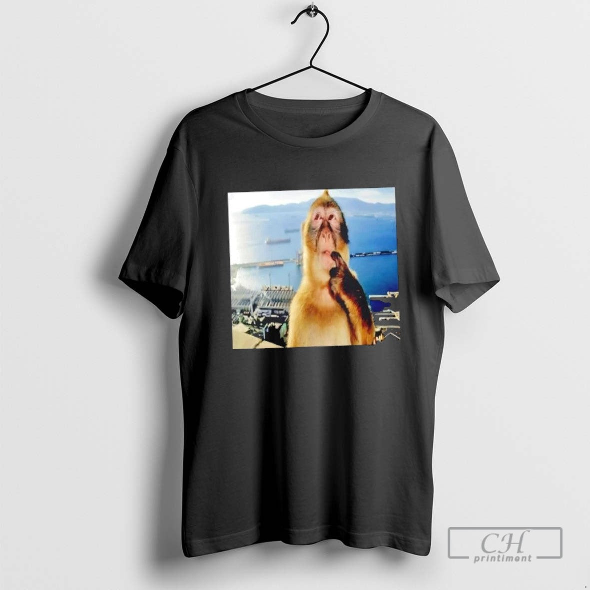 Thinking Monkey Meme Photo Sweatshirt Classic Art