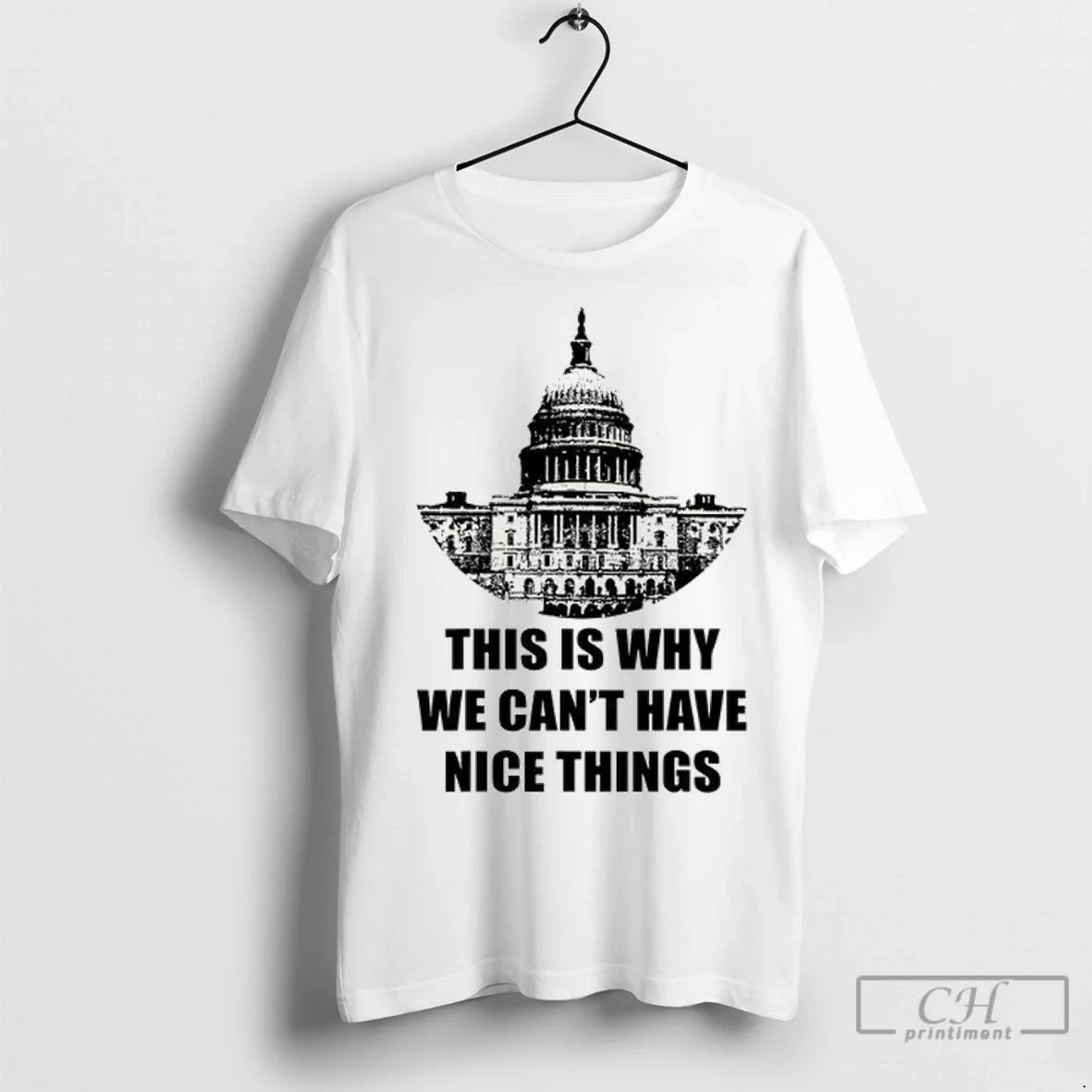 This Is Why We Cant Have Nice Things Anti Government T Shirts Tee