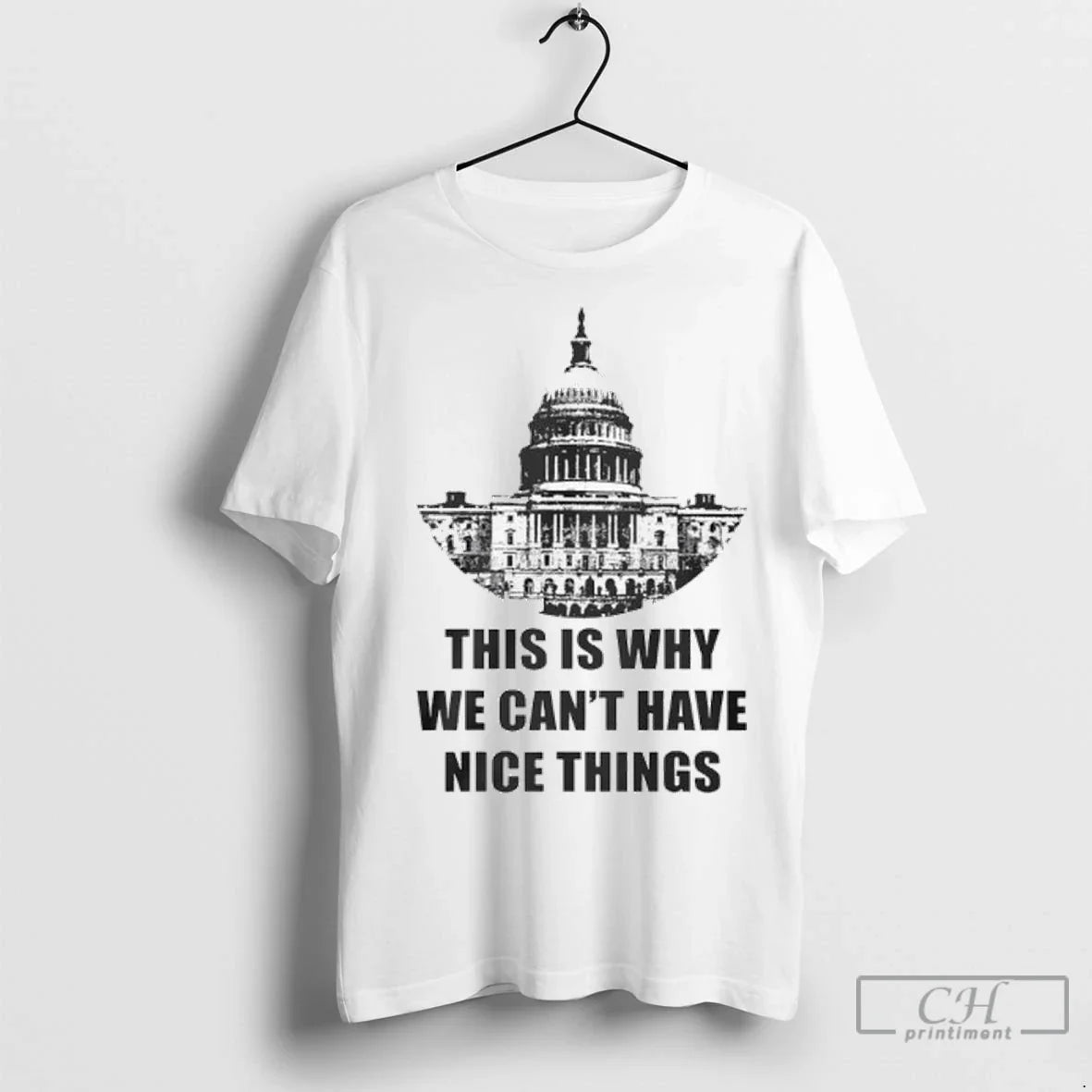 This Is Why We Cant Have Nice Things Anti Government Ladies TShirt