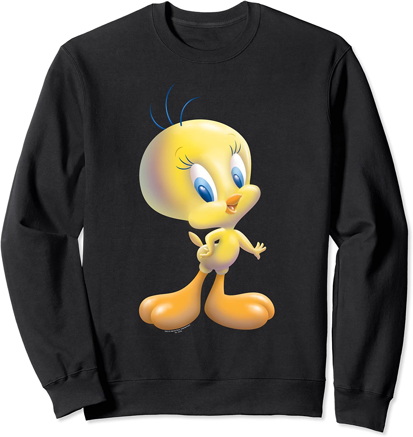 Looney Tunes Tweety Bird Airbrushed Sweatshirt
