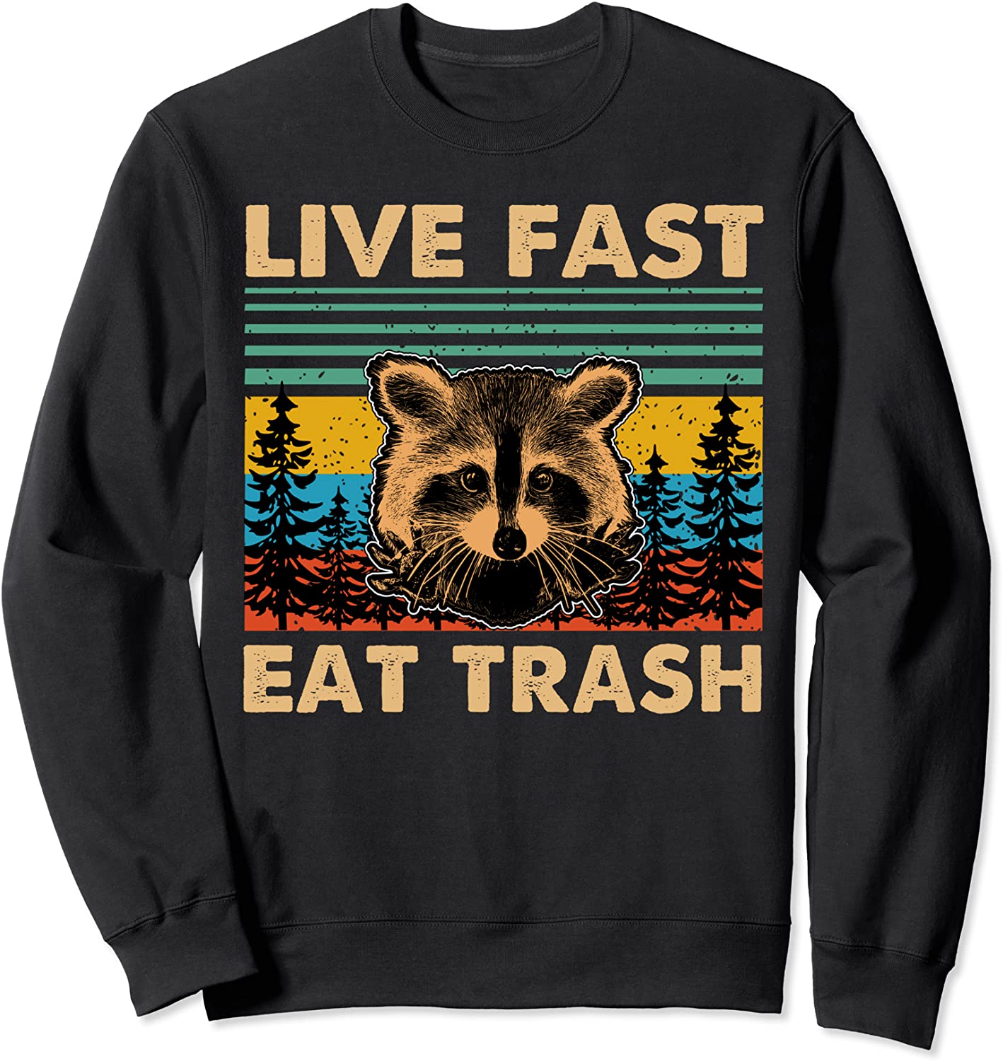 Live fast eat Trash Funny Raccoon Camping Vintage Retro Sweatshirt