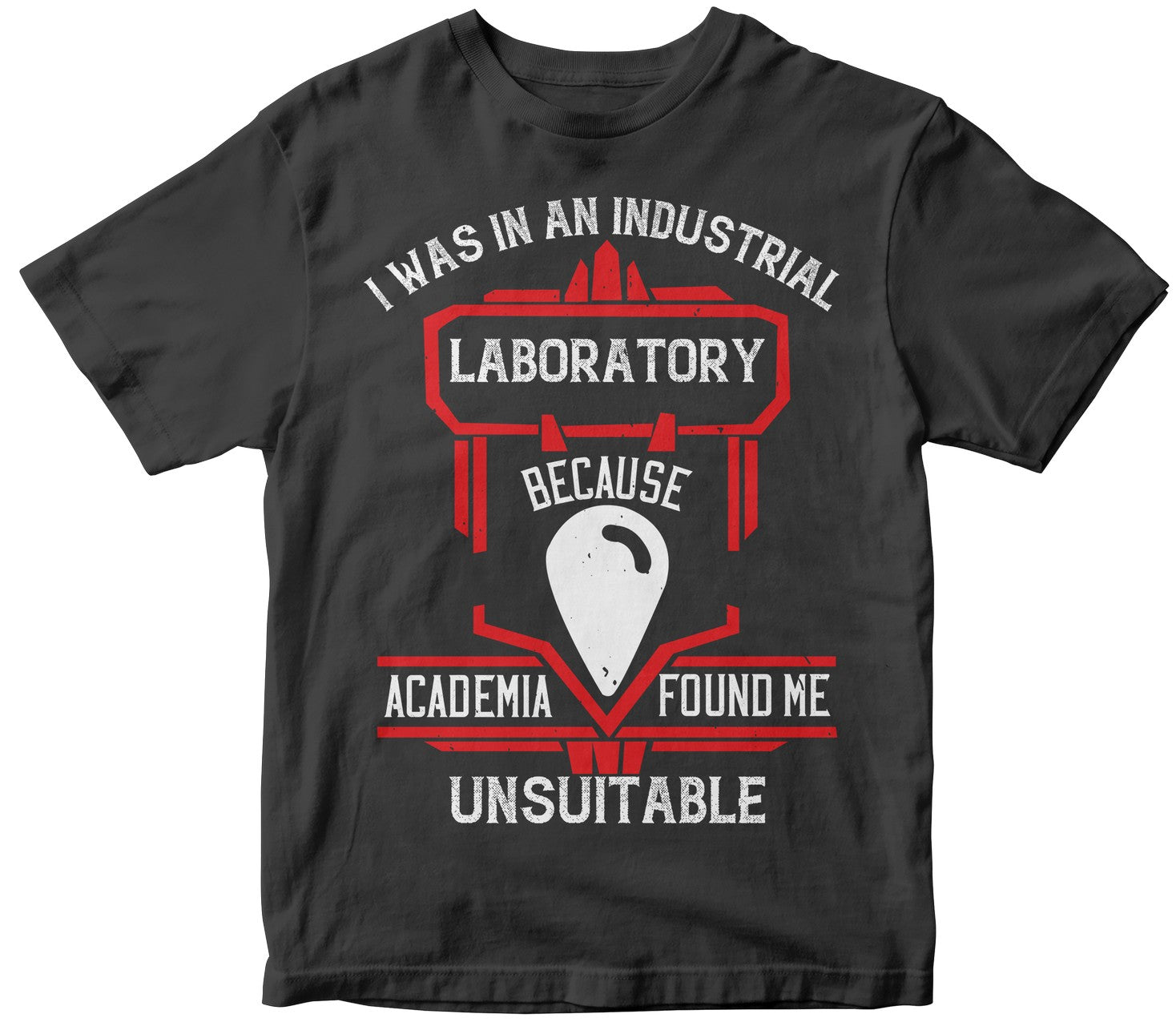 I Was In An Industrial Laboratory