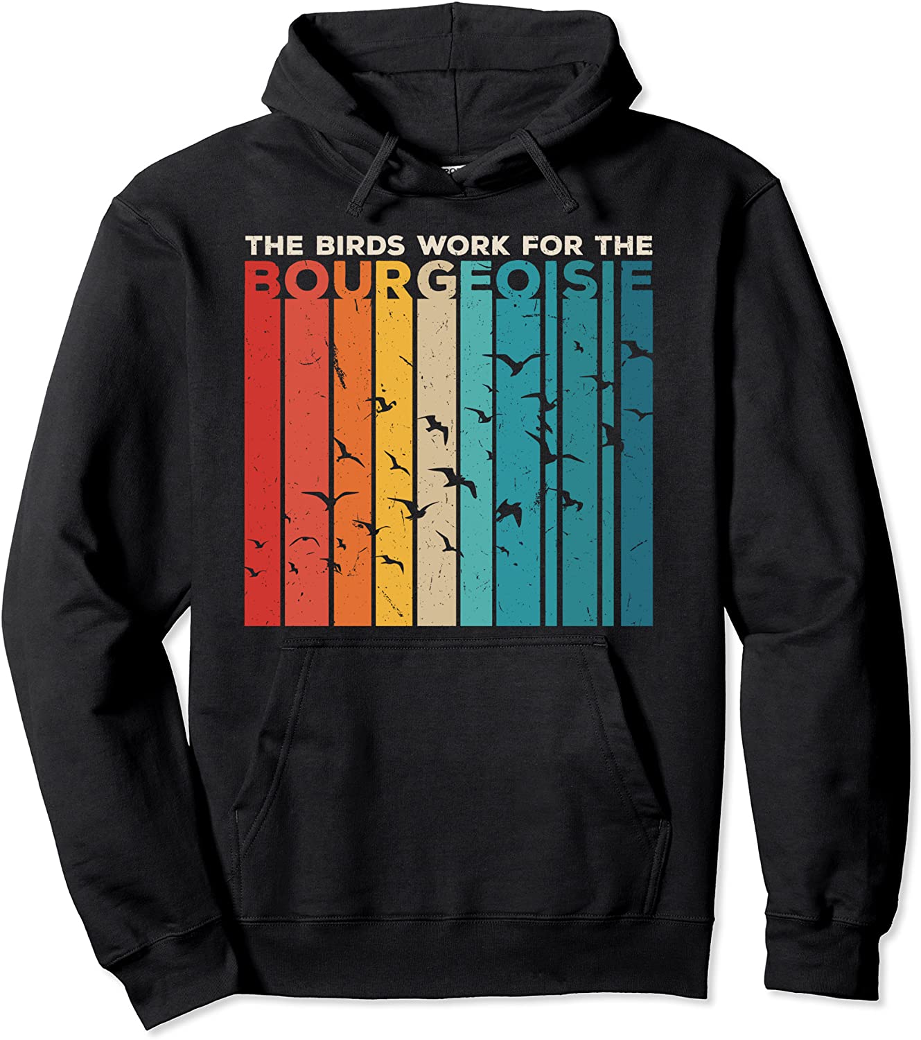 The Birds Work For The Bourgeoisie Conspiracy Theory Pullover Hoodie
