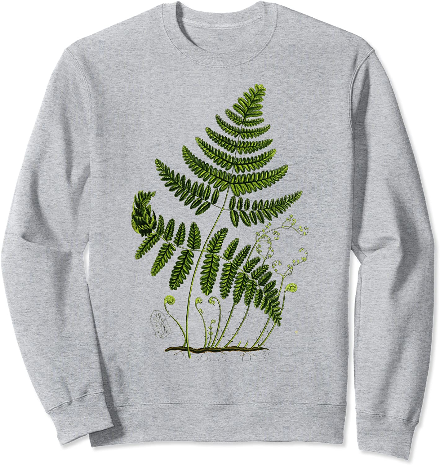 Fern Botanical Plant Botany New Zealand Fern Sweatshirt