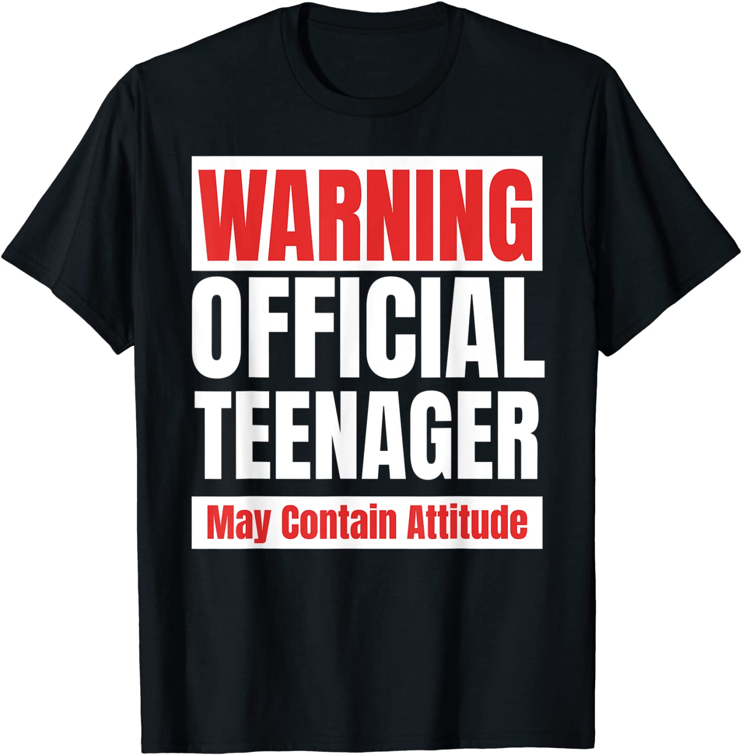 Official Teenager funny 13 birthday t shirt gift 13th tee T-Shirt