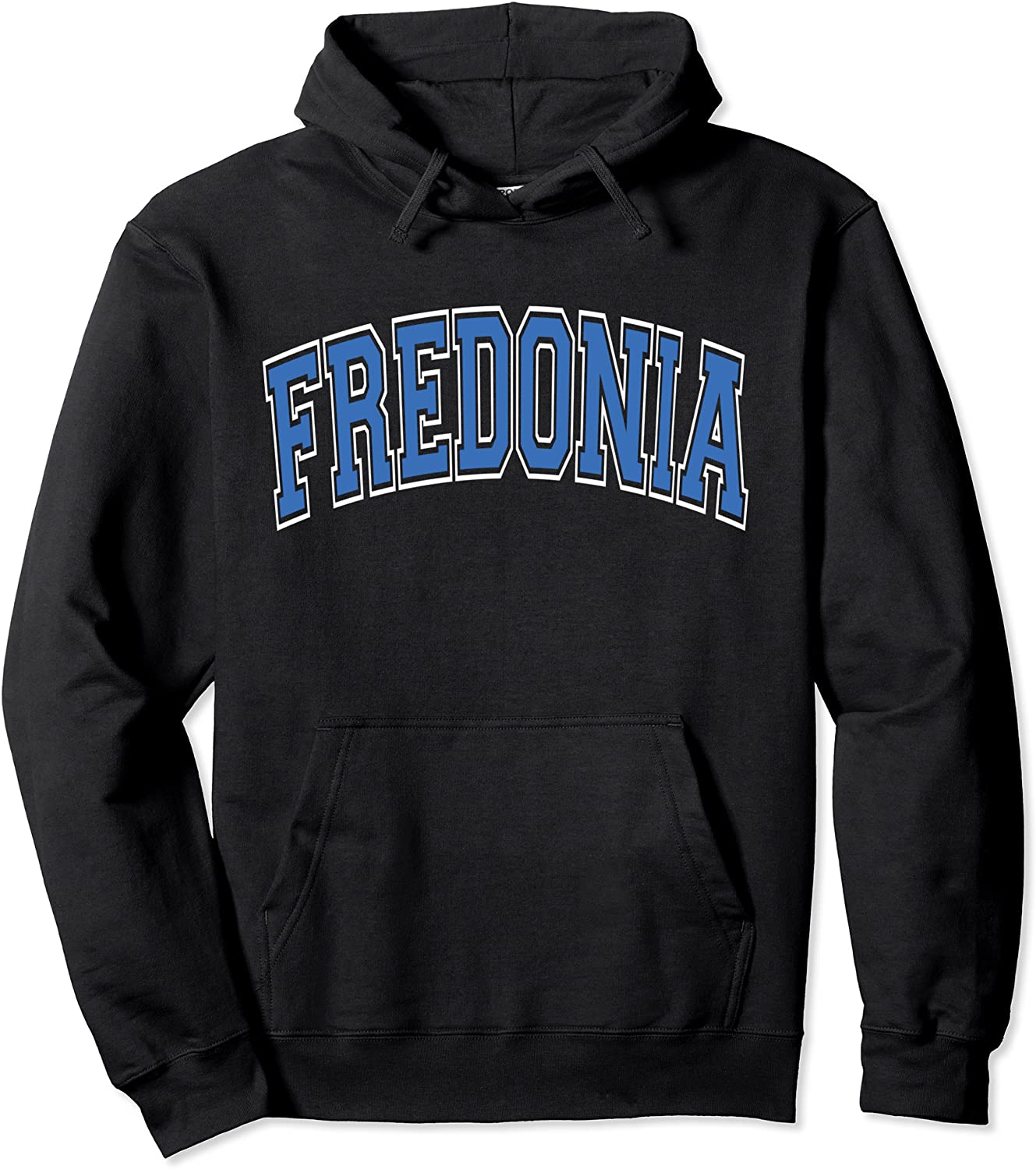 Fredonia NY New York Varsity Style Blue Text Pullover Hoodie