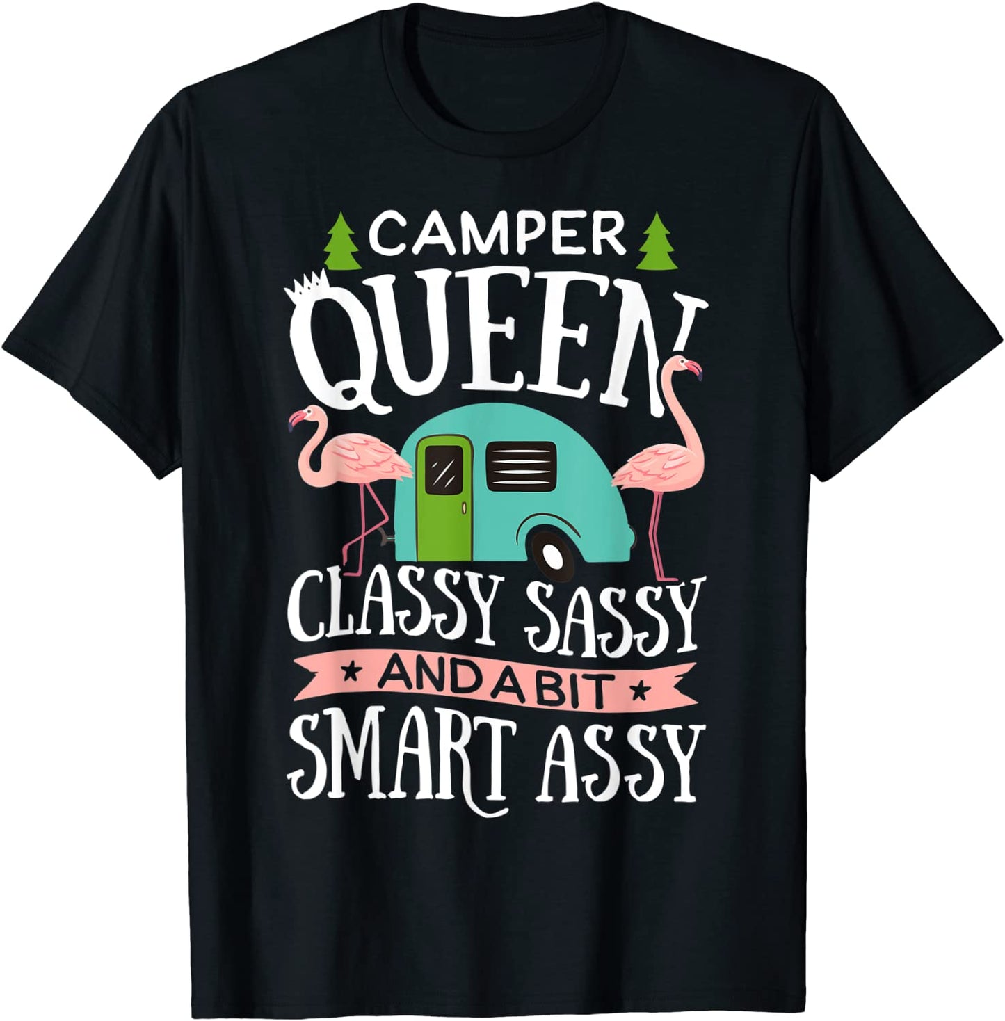 Camper Queen Classy Sassy Smart Assy T shirt Camping RV Gift