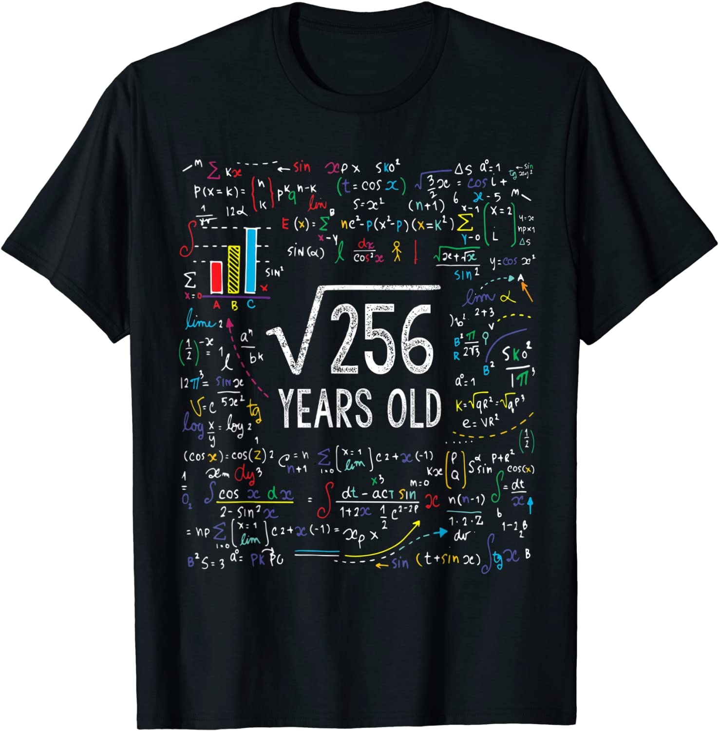 Square Root Of 256 16th Birthday 16 Year Old Gifts Math Bday T-Shirt