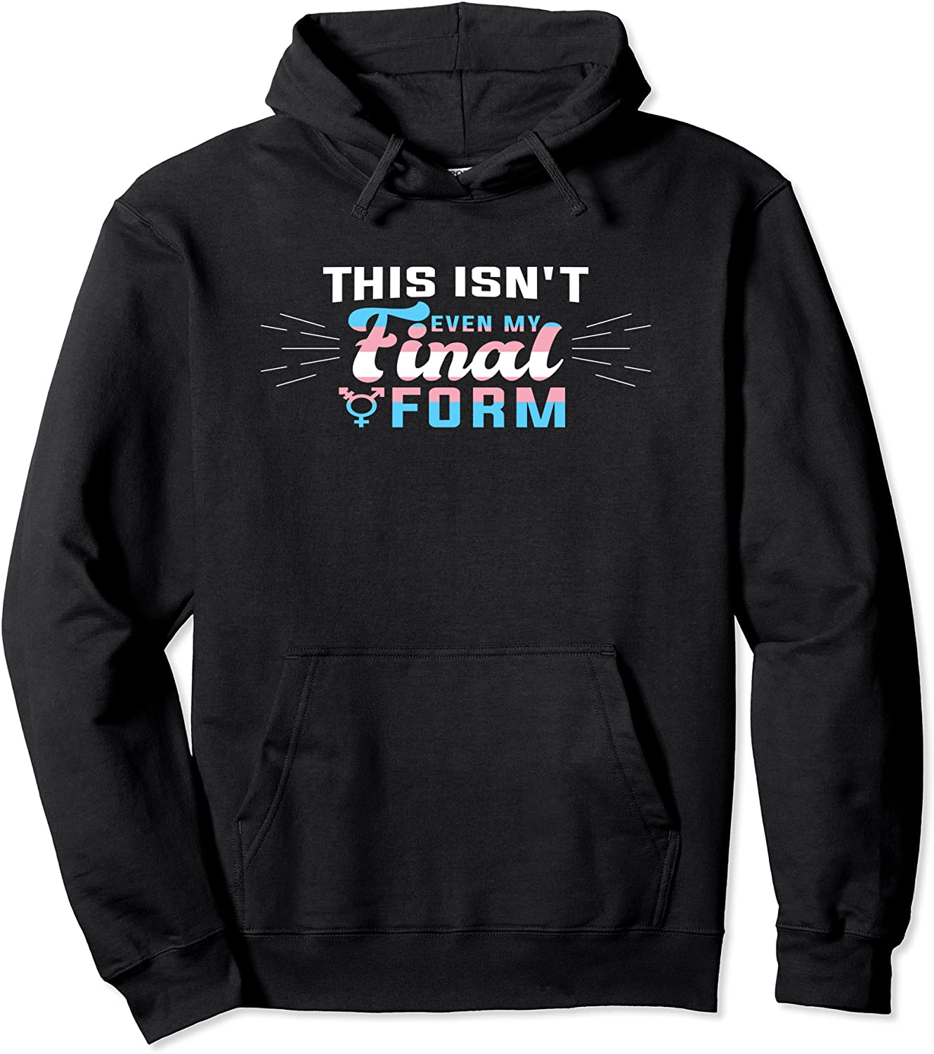 Transgender Pride LGBT I This Isnt even My Final Form Pullover Hoodie