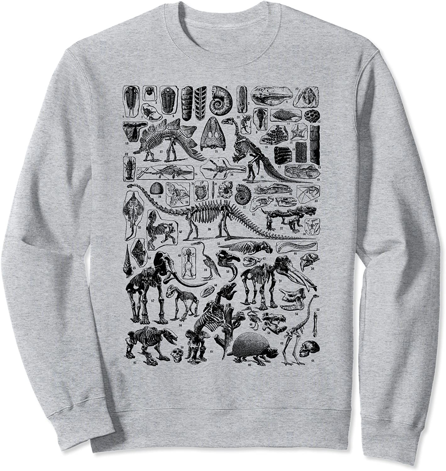 Dinosaur Fossils T-Rex Paleontology vintage archeology gift Sweatshirt
