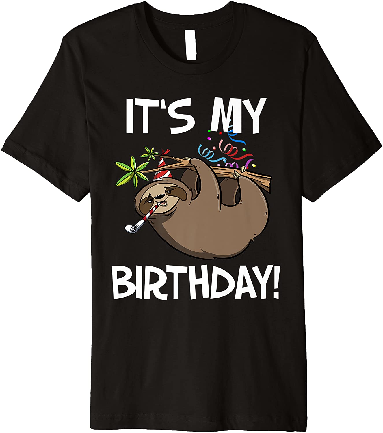 Its My Birthday Cute Sloth Party Outfit Premium T-Shirt