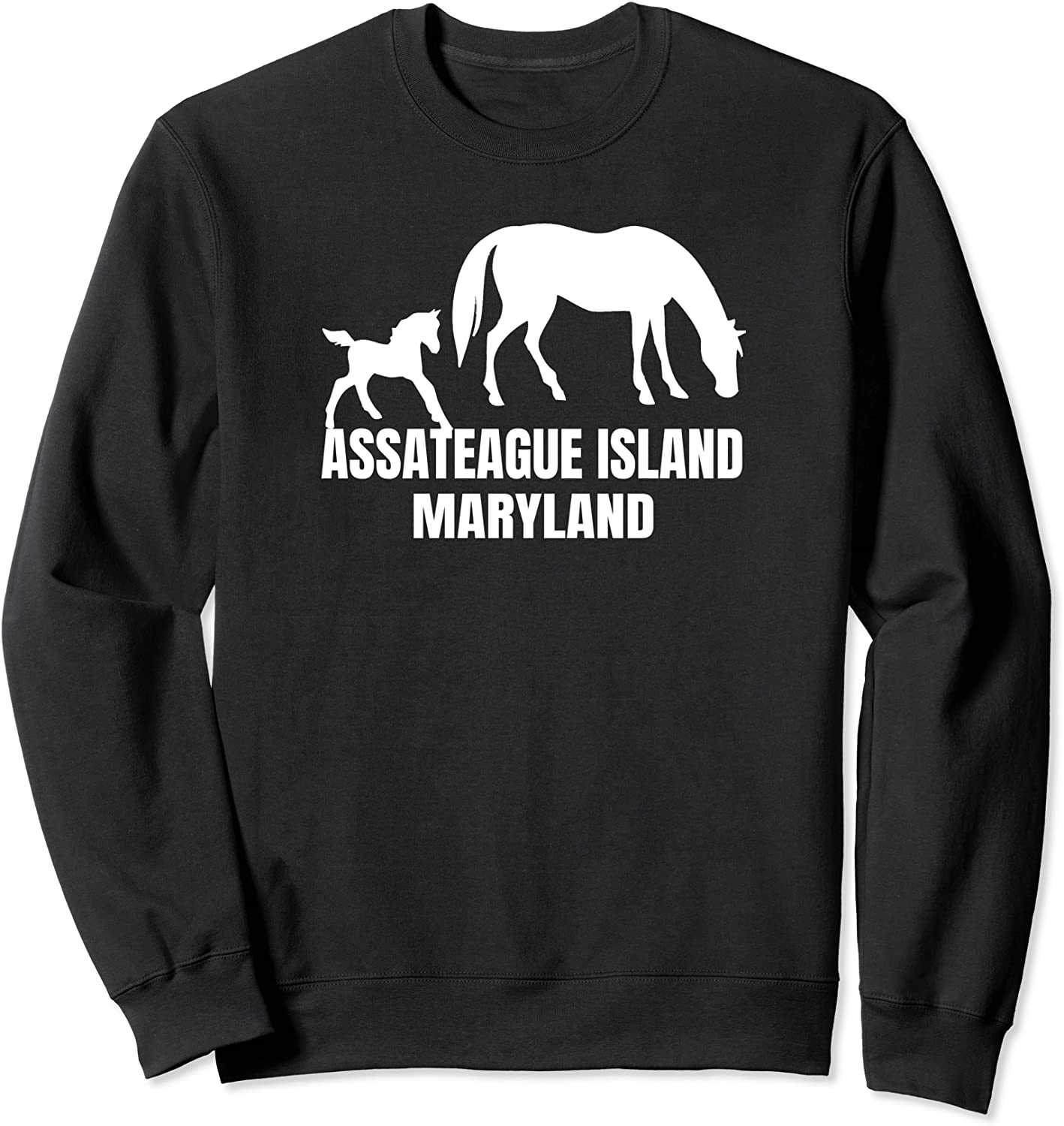 ASSATEAGUE ISLAND MARYLAND Sweatshirt