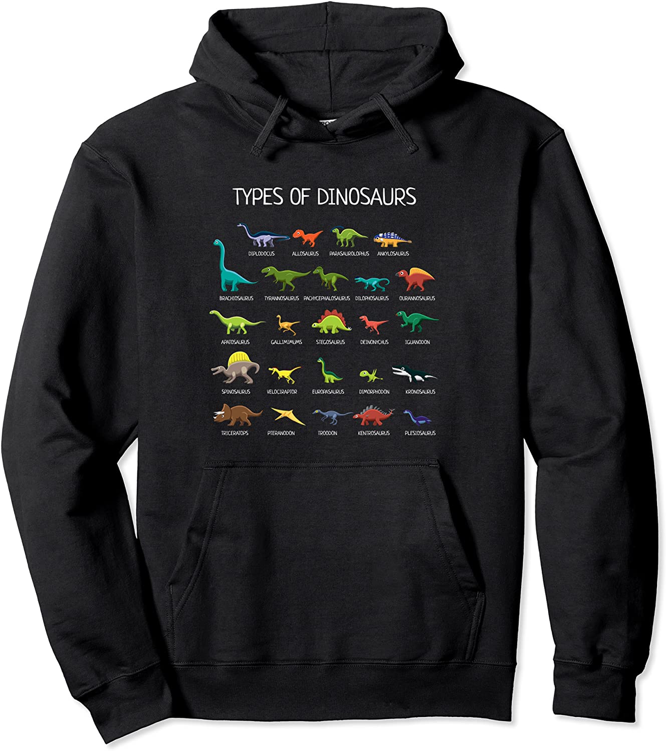 Types Of Dinosaurs Hoodie Pullover