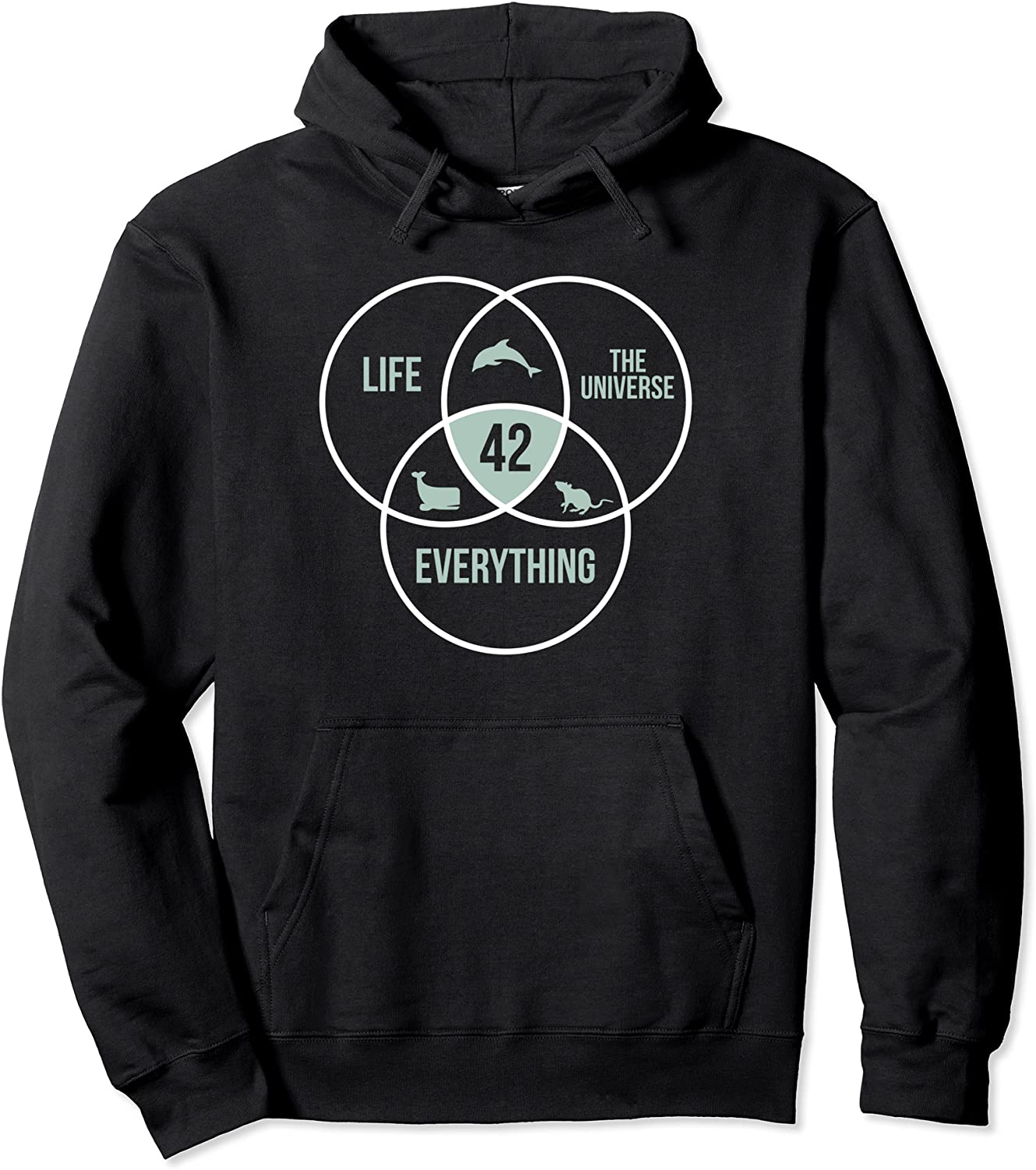 Life The Universe And Everything 42 Answer To Life Pullover Hoodie