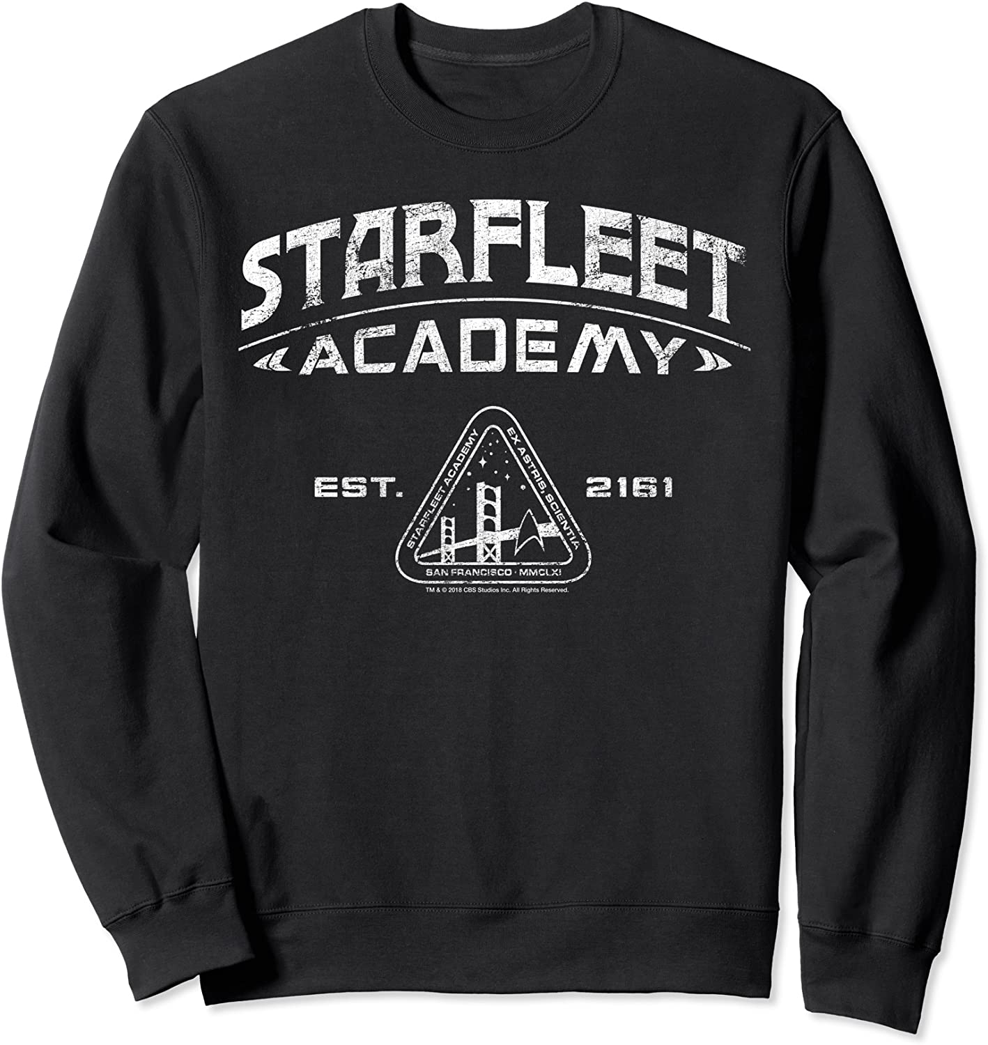 Star Trek Starfleet Academy 2161 Vintage Sweatshirt
