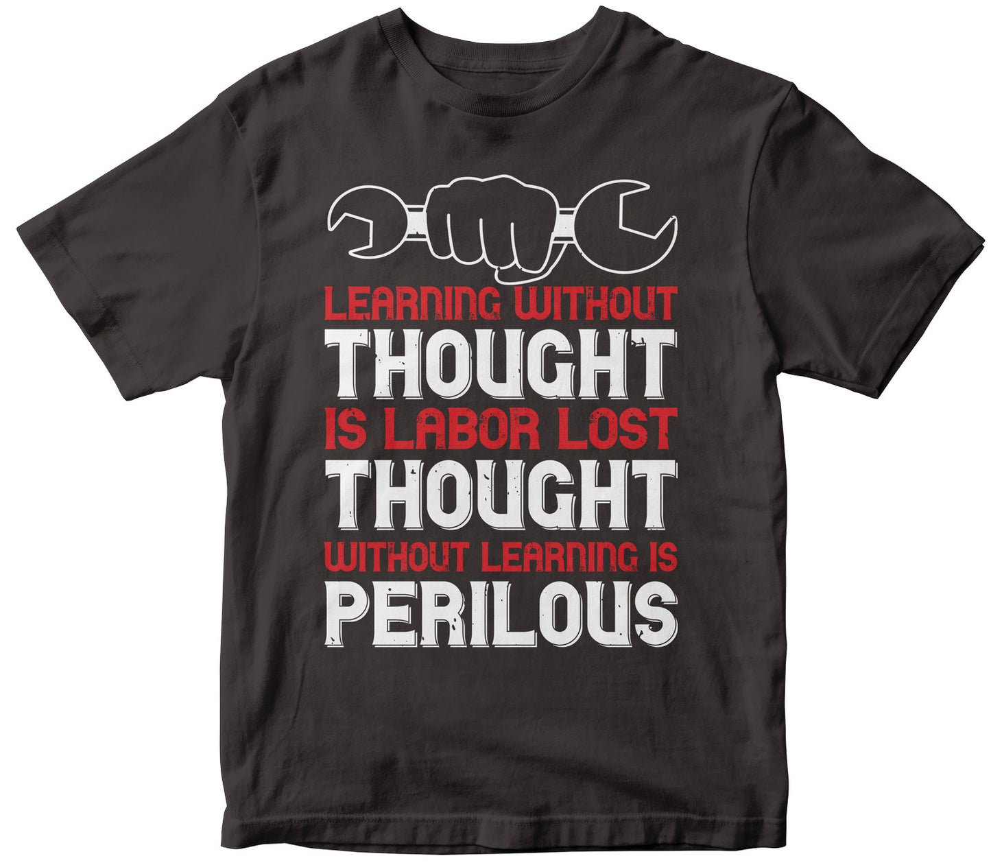 Learning Without Thought Is Labor Lost; Thought Without Learning Is Perilous-0