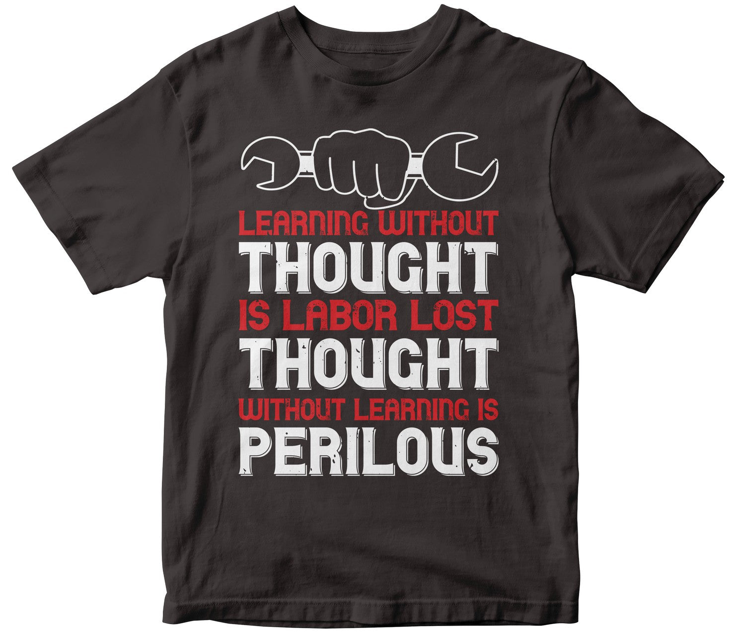 Learning Without Thought Is Labor Lost; Thought Without Learning Is Perilous-0