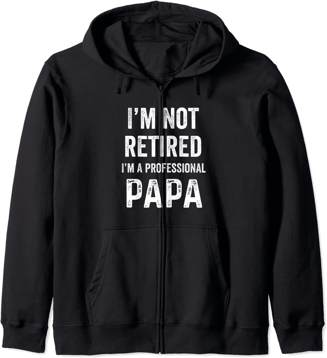 Im Not Retired A Professional Papa Fathers Day Gift Hoodie