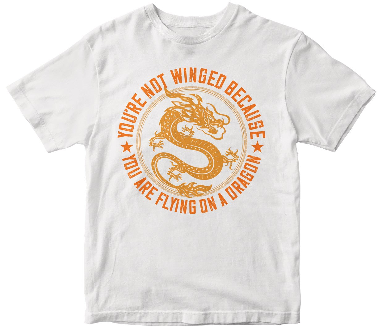 You'Re Not Winged Because You Are Flying On A Dragon