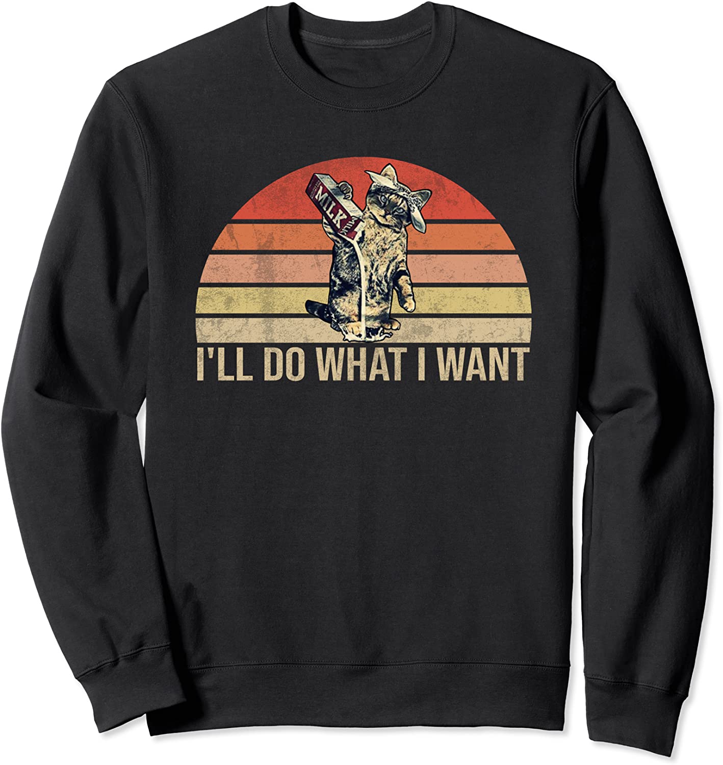 Vintage Retro Ill Do What I Want Funny Cat Cool Sweatshirt
